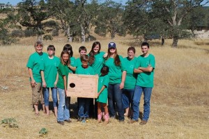 Don Pedro 4H Rattlers with completed barn owl box